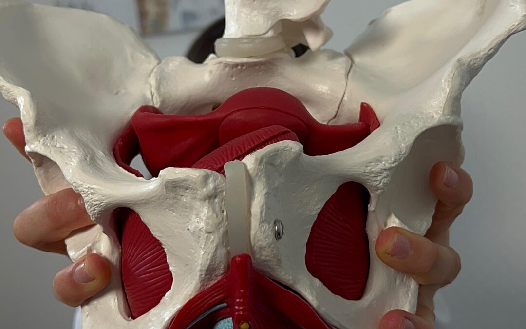 Tratamiento de Prolapsos, Vaginismo y Diástasis Abdominal