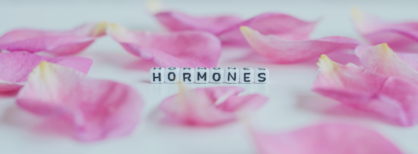 BANNER BLOG ÍNTIMA (2) terapia hormonal, hormonas bioidénticas, menopausia, perimenopausia, síntomas hormonales, sofocos, sequedad vaginal, ginecología, revisión ginecológica, tratamiento hormonal, salud femenina, pérdida de libido, deseo sexual, rejuvenecimiento vaginal, equilibrio hormonal, terapia hormonal bioidéntica, ginecóloga especializada, fatiga menopausia, cambios hormonales mujer, clínica Íntima