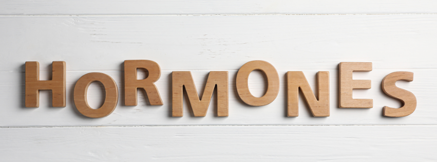 hormonas bioidénticas, terapia hormonal, hormonas menopausia, beneficios hormonas bioidénticas, seguridad hormonas bioidénticas, estrógenos bioidénticos, progesterona bioidéntica, terapia hormonal personalizada, síntomas menopausia tratamiento, sofocos menopausia solución, sequedad vaginal tratamiento, terapia hormonal bioidéntica Madrid, revisión ginecológica, ginecología menopausia, terapia hormonal riesgos, hormonas naturales menopausia, menopausia tratamiento eficaz, bioidénticas vs sintéticas, terapia hormonal segura, Íntima HealthCare