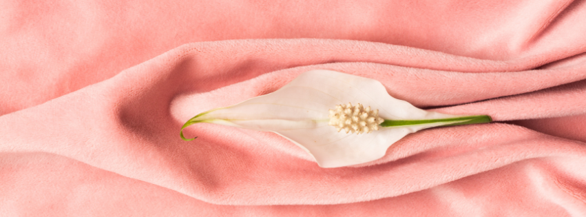 BANNER BLOG ÍNTIMA láser vaginal, Monalisa Touch, rejuvenecimiento vaginal, salud íntima, menopausia, sequedad vaginal, incontinencia urinaria, terapia láser ginecológica, ginecología regenerativa, tratamiento no quirúrgico menopausia, recuperación postparto, suelo pélvico, bienestar femenino, relaciones sexuales dolorosas, colágeno vaginal, cuidado íntimo, pH vaginal, hidratación vaginal, tecnología ginecológica avanzada, ginecología láser.